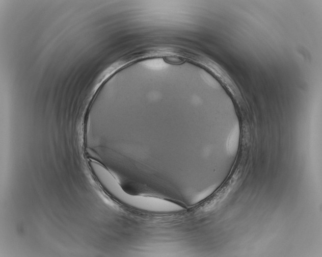 X0000110990858200907171750