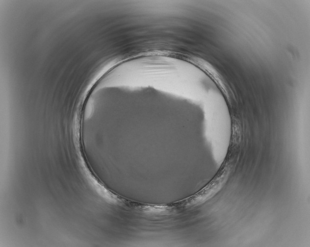 X0000110990859200907171750