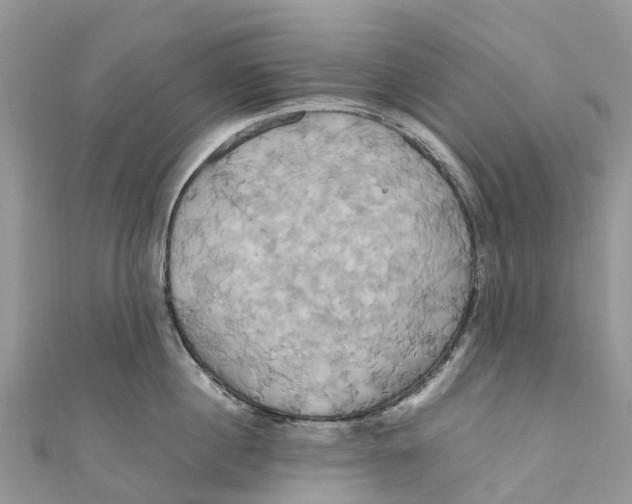 X0000110990860200907171750