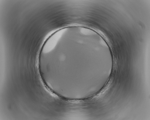X0000110990862200907171750
