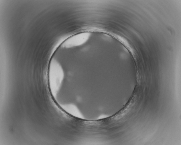 X0000110990863200907171750