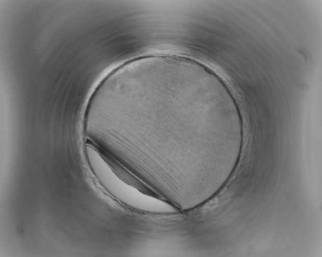 X0000110990864200907171750