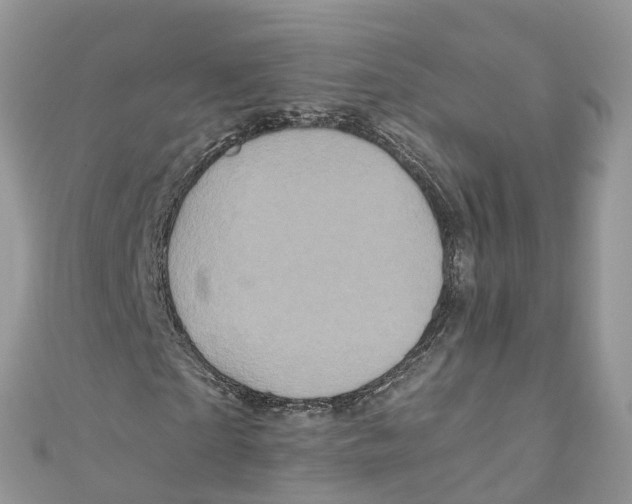 X0000110990865200907171750