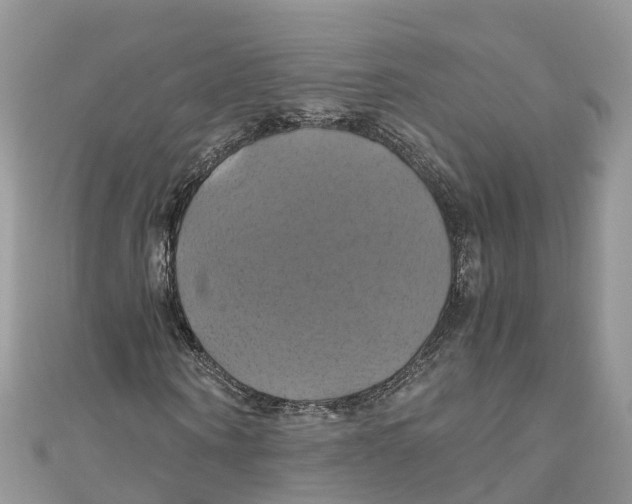 X0000110990866200907171750