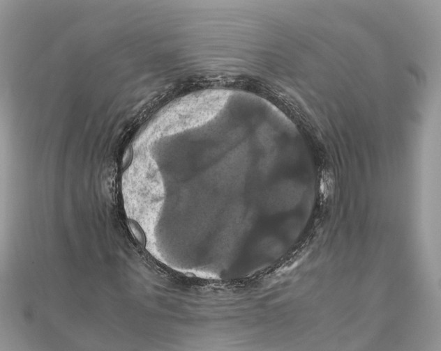 X0000110990867200907171750