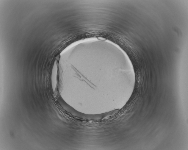 X0000110990868200907171750