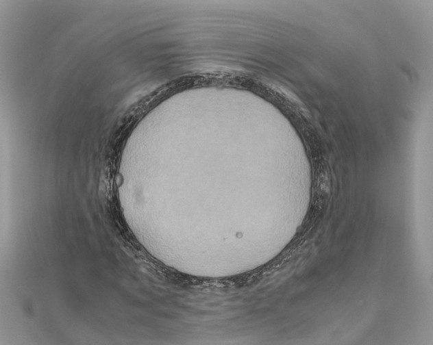 X0000110990869200907171750