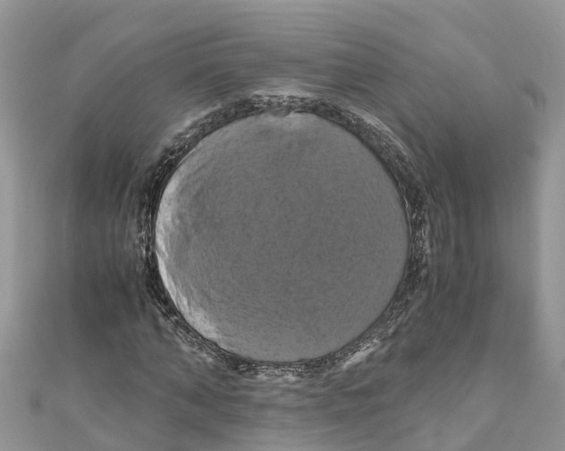 X0000110990870200907171750