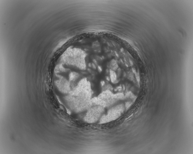 X0000110990871200907171750