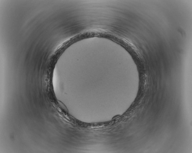 X0000110990872200907171750