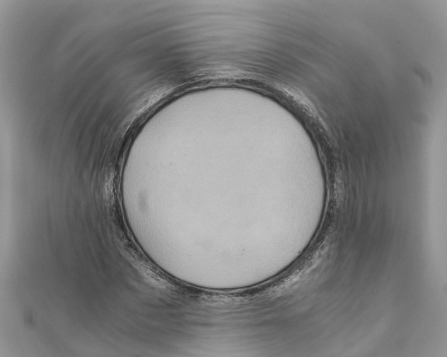 X0000110990873200907171750