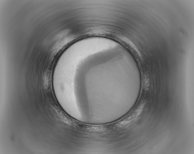 X0000110990874200907171750