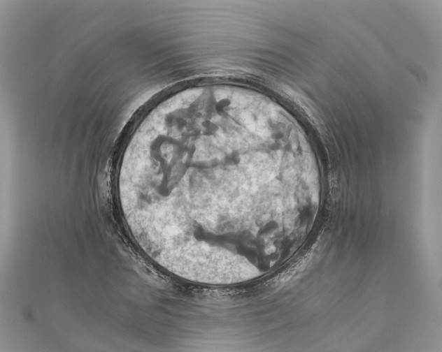 X0000110990875200907171750