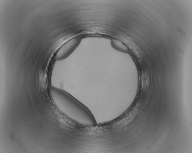 X0000110990876200907171750