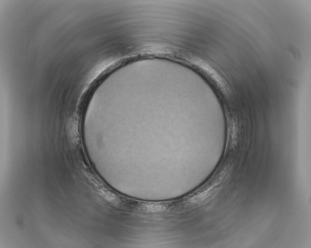 X0000110990878200907171750