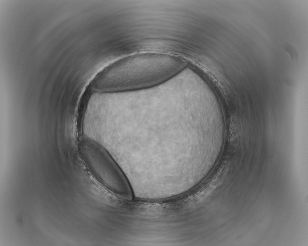 X0000110990880200907171750