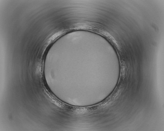 X0000110990882200907171750