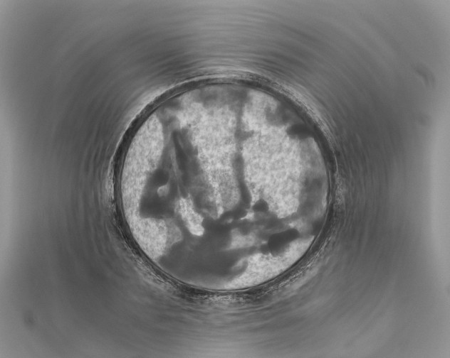 X0000110990883200907171750