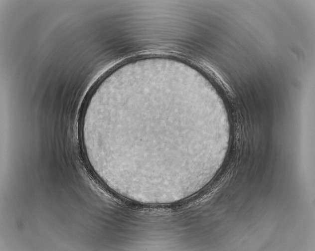 X0000110990884200907171750