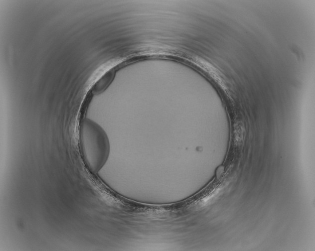 X0000110990885200907171750