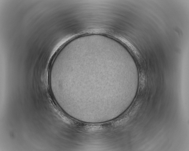 X0000110990886200907171750
