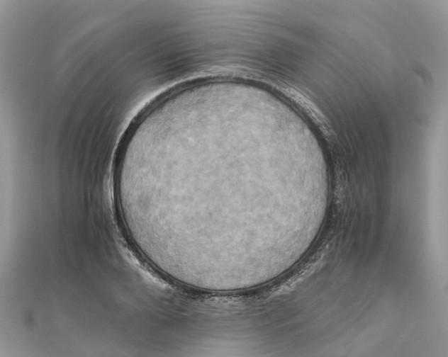 X0000110990888200907171750