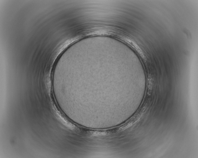 X0000110990890200907171750