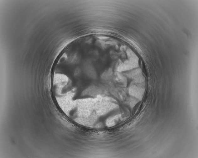 X0000110990891200907171749
