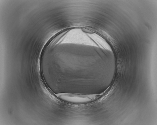 X0000110990892200907171749