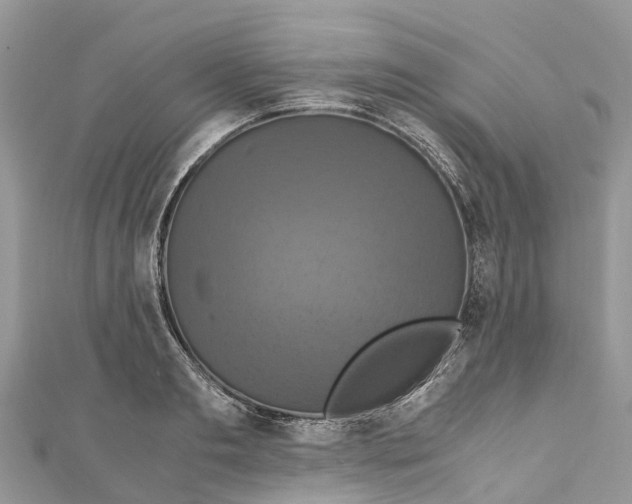 X0000110990893200907171749