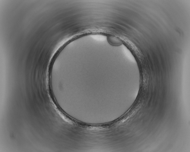 X0000110990894200907171749