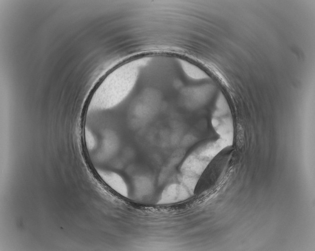 X0000110990895200907171749