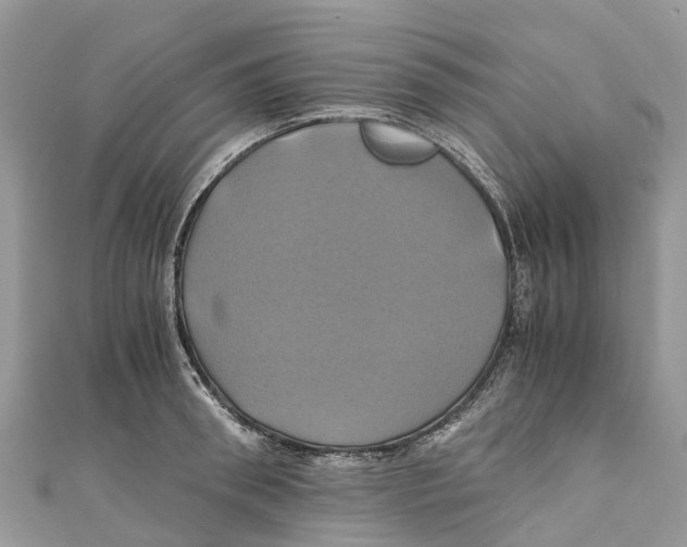 X0000110990898200907171749