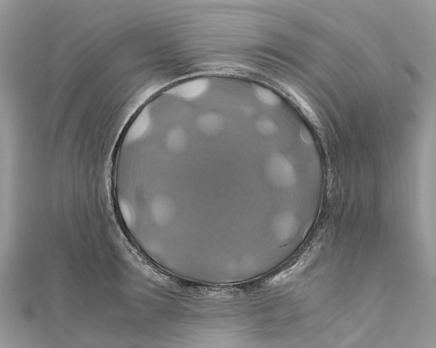 X0000110990899200907171749