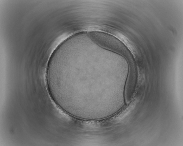 X0000110990901200907171749