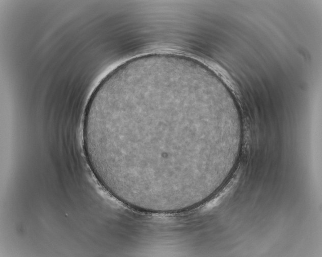 X0000110990904200907171749