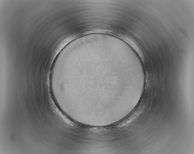 X0000110990906200907171749