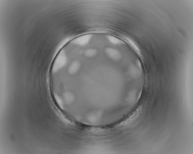X0000110990907200907171749