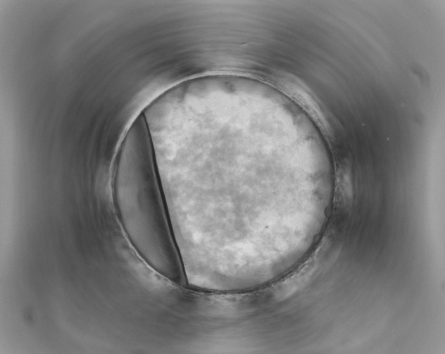 X0000110990908200907171749