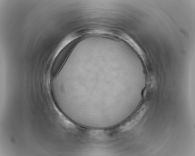 X0000110990909200907171749