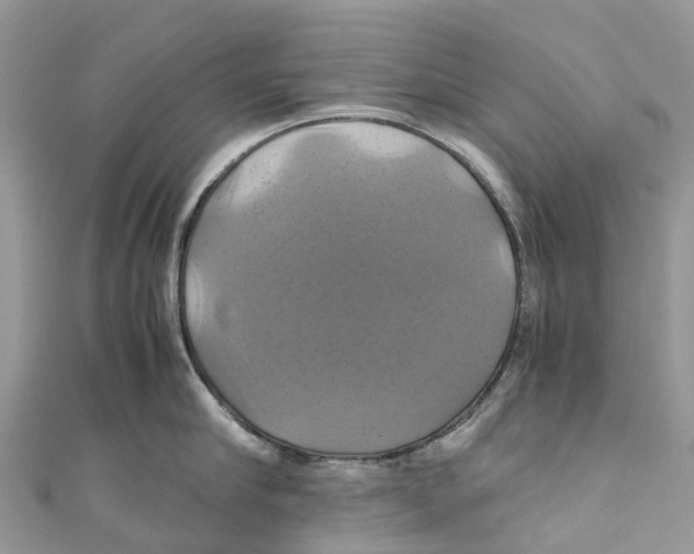 X0000110990910200907171749