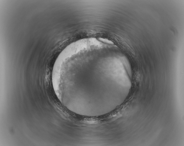 X0000110990914200907171749