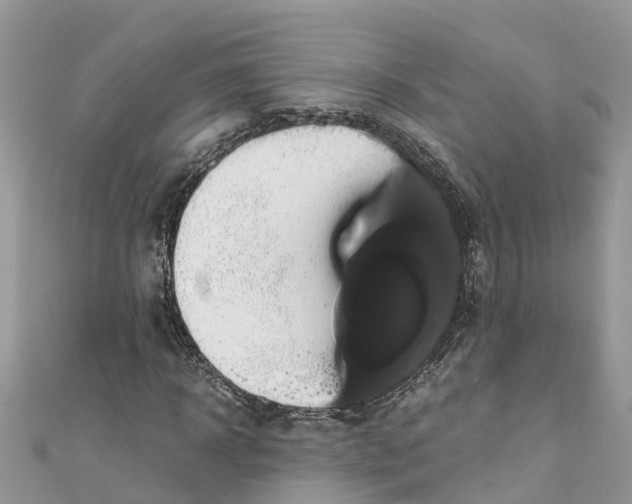X0000110990918200907171749