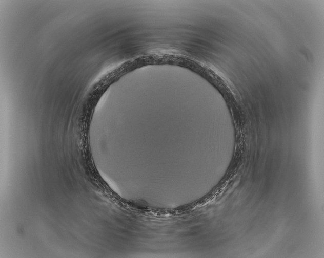 X0000110990919200907171749