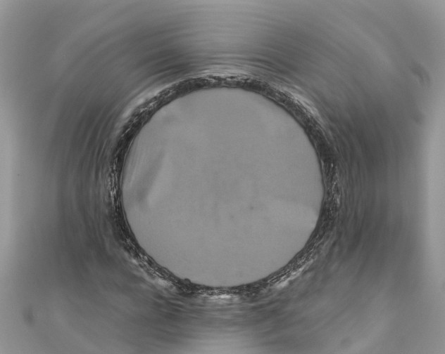 X0000110990920200907171749