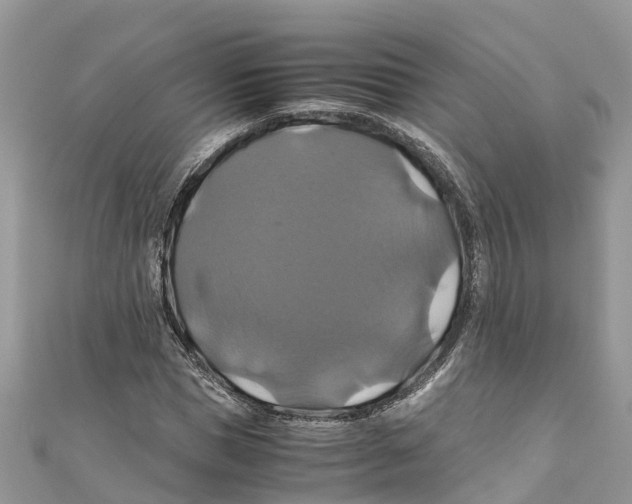 X0000110990921200907171749