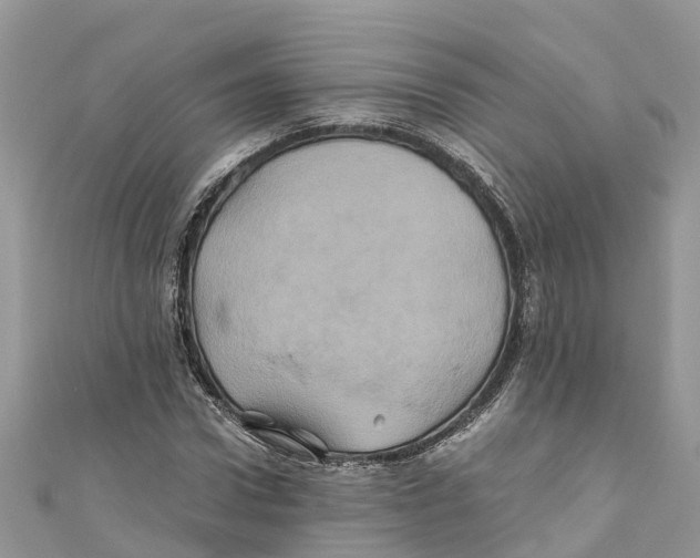 X0000110990922200907171749