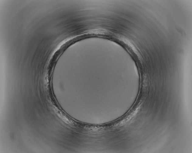 X0000110990923200907171749