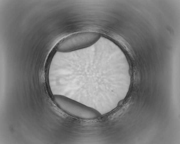 X0000110990924200907171749
