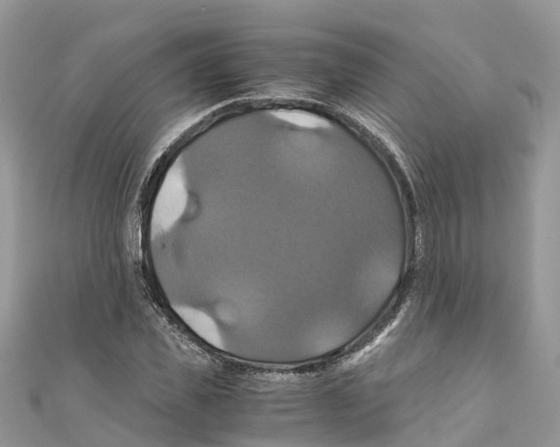X0000110990925200907171749